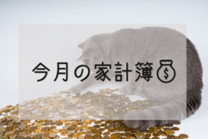 実家暮らし 30代 独身 派遣olの家計簿 手取り17万円 年1月編 ぽぽコンプ